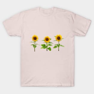 Three Sunflowers T-Shirt